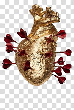 Golden Touch, gold-colored human heart model and red dart pins transparent background PNG clipart