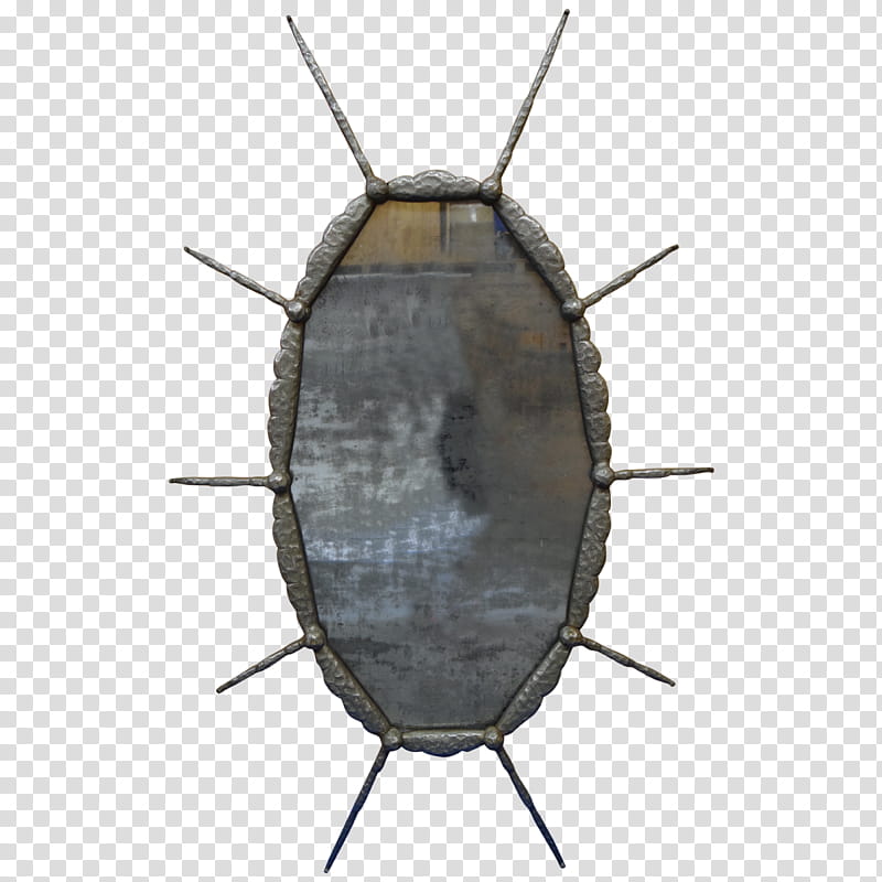 Ant, Drawing, Insect, Cockroach, Pest transparent background PNG clipart