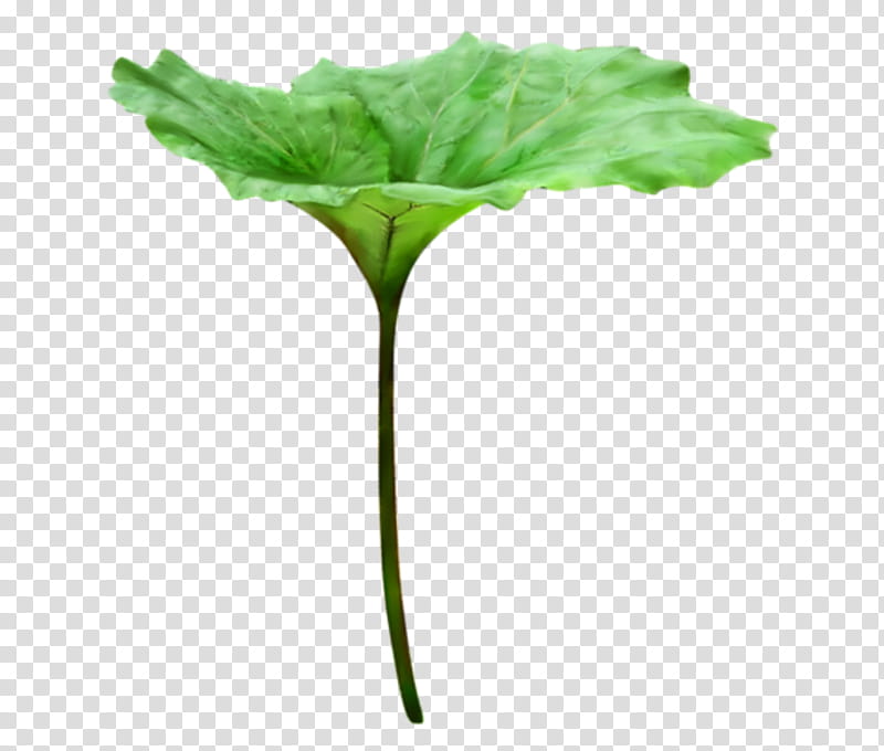 Green Leaf, Drawing, Plants, Branch, Blog, Architecture, Comparazione Di File Grafici, Flower transparent background PNG clipart