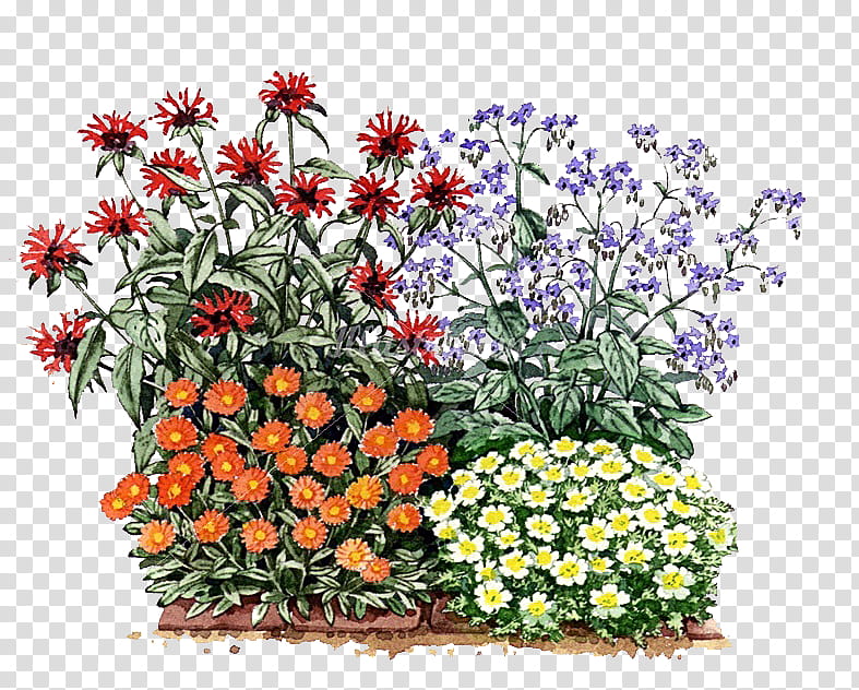 My Garden s, assorted flowers painting transparent background PNG clipart
