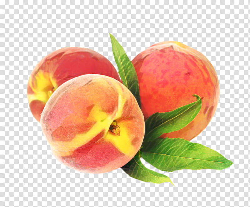 Watercolor Flower, Peach, Food, Gummy Bear, Fond Blanc, Fruit, Grape, Clausena Lansium transparent background PNG clipart