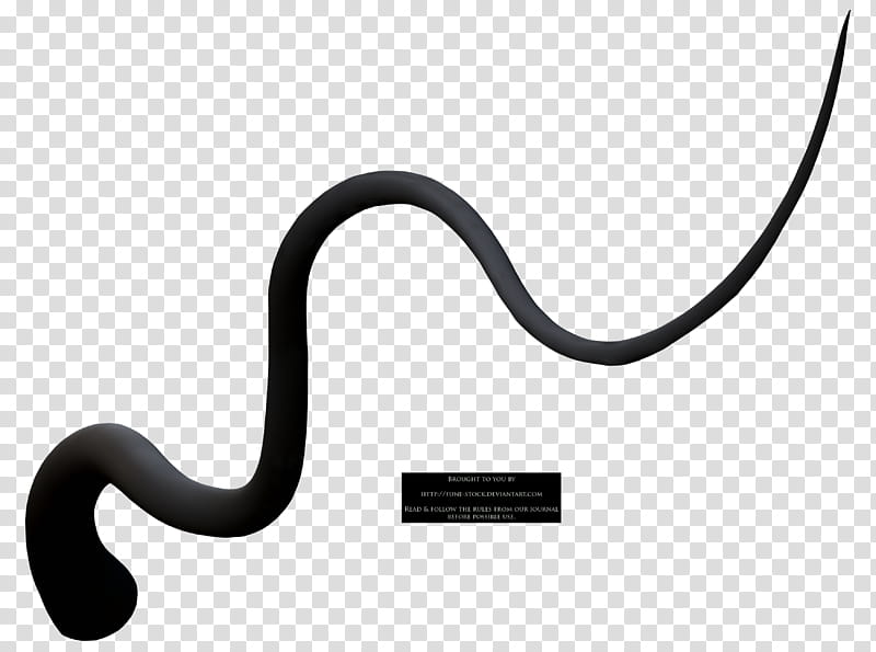 Fune Tentacle , black cord transparent background PNG clipart