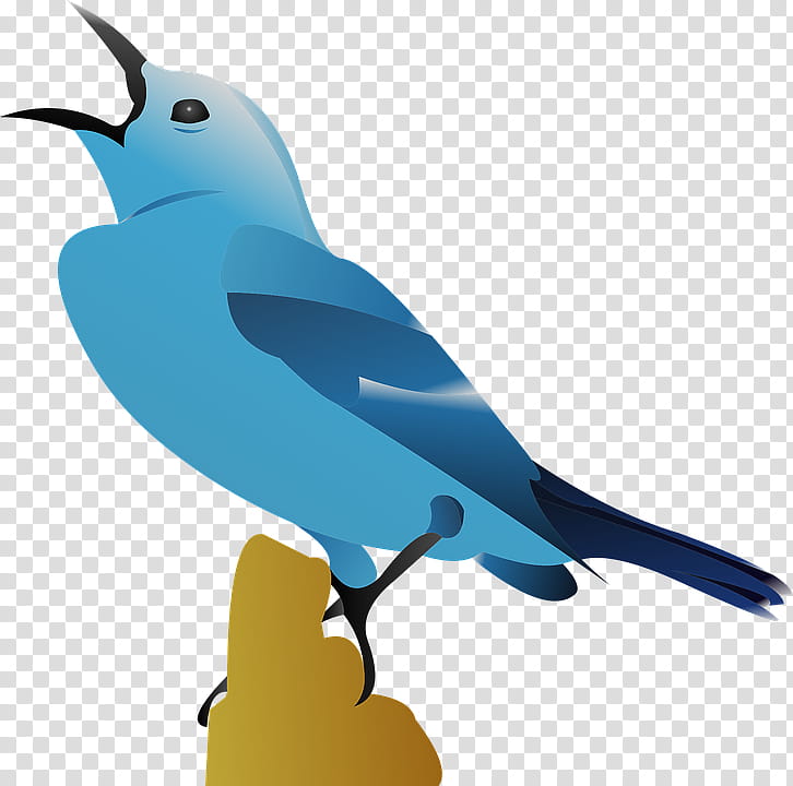 Bird, Drawing, Beak, Bluebird, Feather, Songbird transparent background PNG clipart