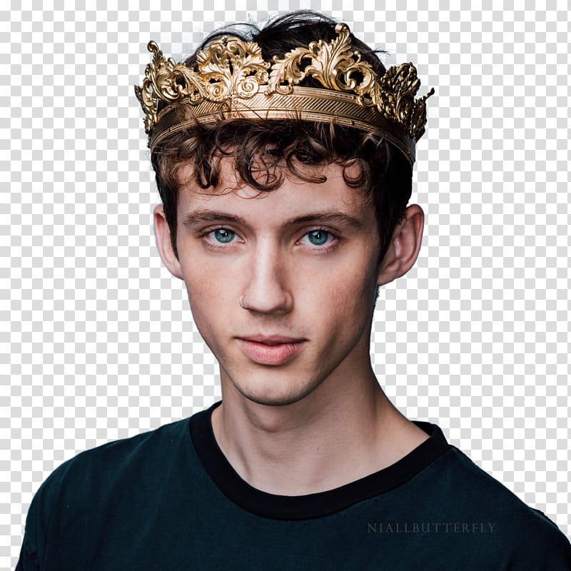 TROYE SIVAN transparent background PNG clipart