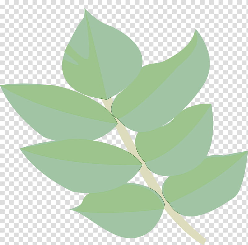 leaf green plant flower eucalyptus, Watercolor, Paint, Wet Ink, Hypericum transparent background PNG clipart
