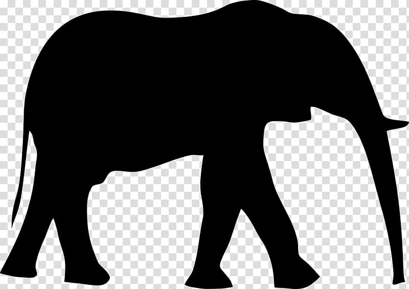 Indian elephant, Elephants And Mammoths, African Elephant, Terrestrial Animal, Line Art, Silhouette transparent background PNG clipart