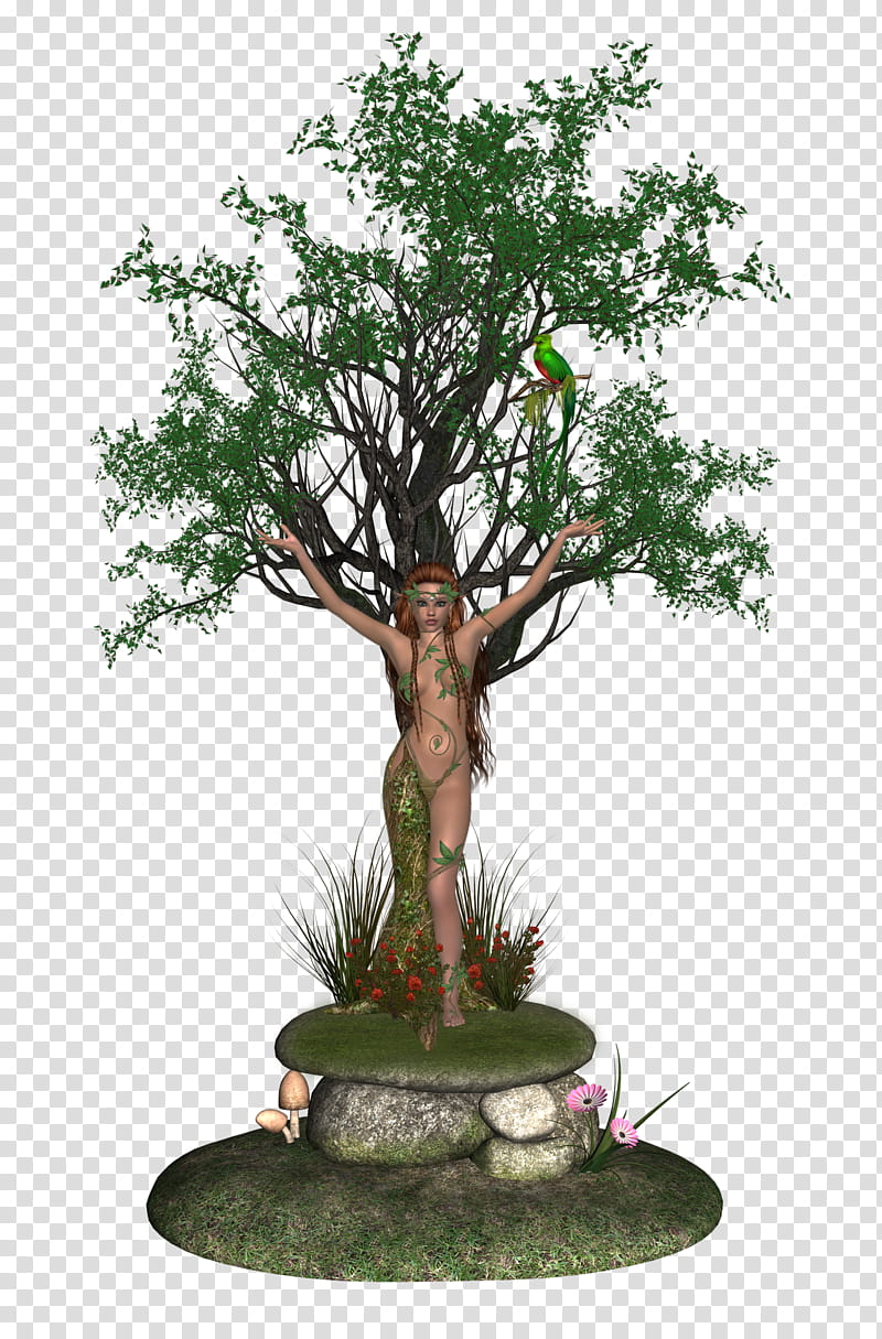 dryad , woman and tree illustration transparent background PNG clipart