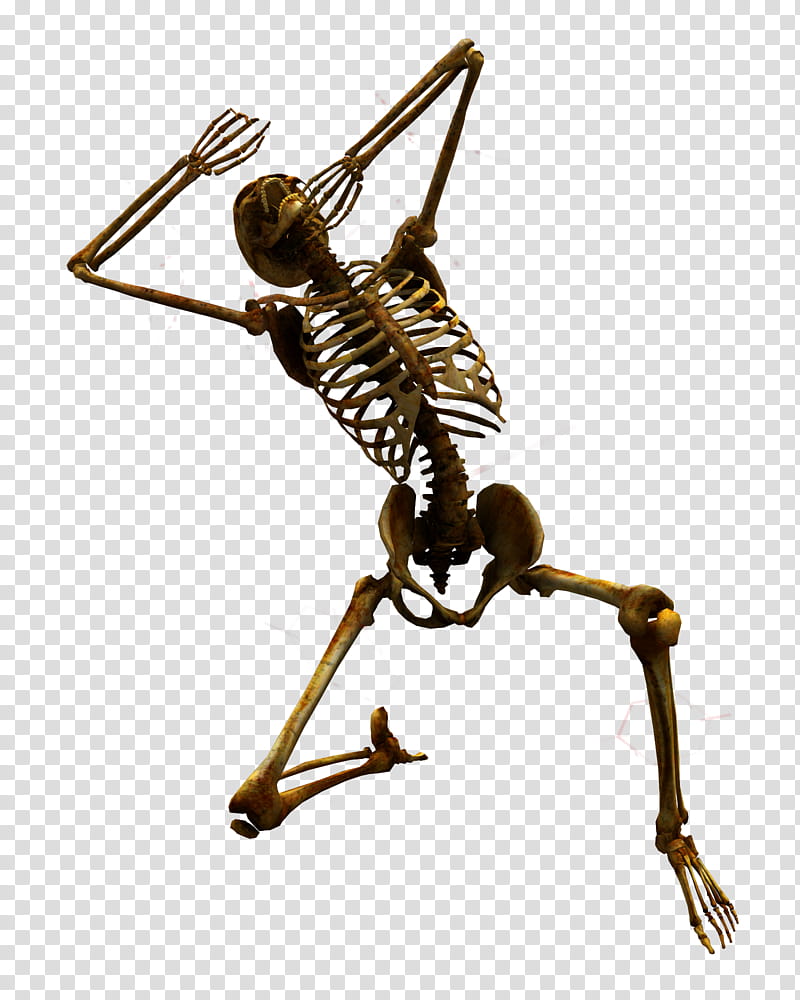 E S Bones I, yellow skeleton illustration transparent background PNG clipart