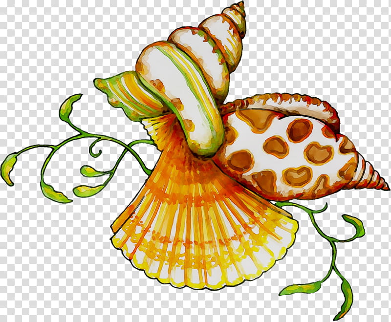 Snail, Flower, Food, Sea Snail transparent background PNG clipart