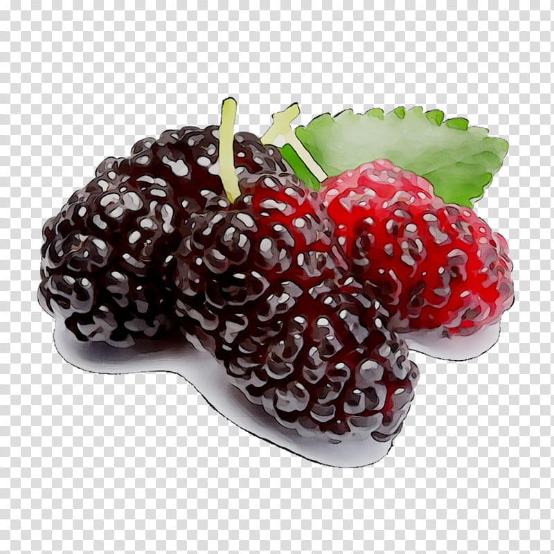 Indian Family, Boysenberry, Black Mulberry, White Mulberry, Fruit, Raspberry, Red Mulberry, Strawberry transparent background PNG clipart