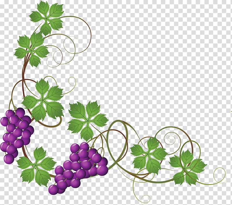 Flower Leaves, Common Grape Vine, Wine, Grape Leaves, Vineyard, Grapevines, Leaf, Grapevine Family transparent background PNG clipart