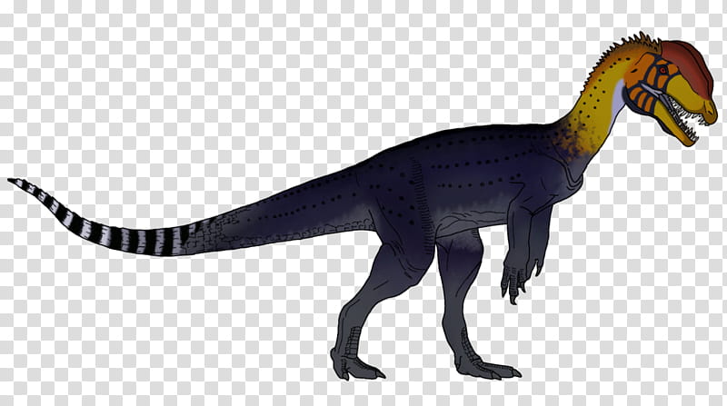 Jurassic World, Dilophosaurus, Velociraptor, Herrerasaurus, Maiasaura, Dinosaur, Carnosaur, Massospondylus transparent background PNG clipart