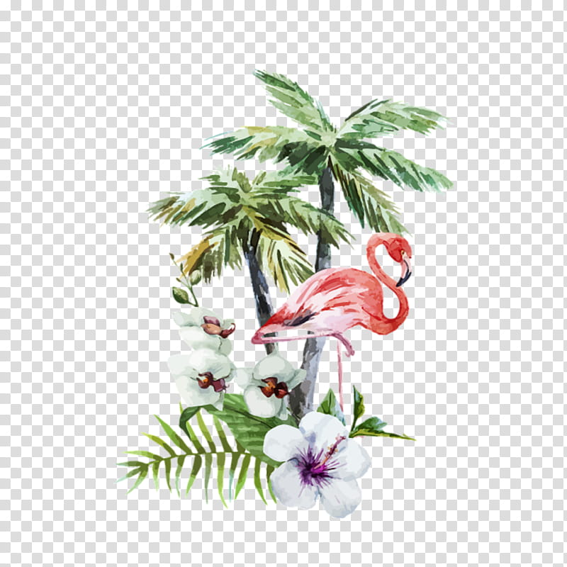 Floral Flower, Flamingo, Curtain, Wall Decal, Shower, Duvet Covers, Bird, Plant transparent background PNG clipart