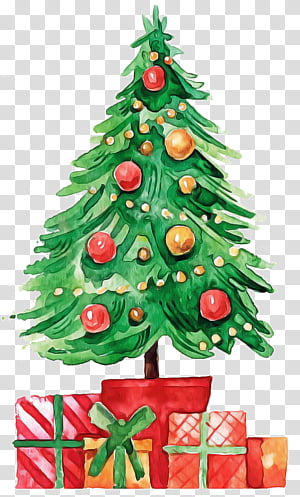 Christmas tree, Christmas Decoration, Christmas Ornament, Colorado Spruce, Oregon Pine, Holiday Ornament, Christmas 
, Evergreen transparent background PNG clipart thumbnail