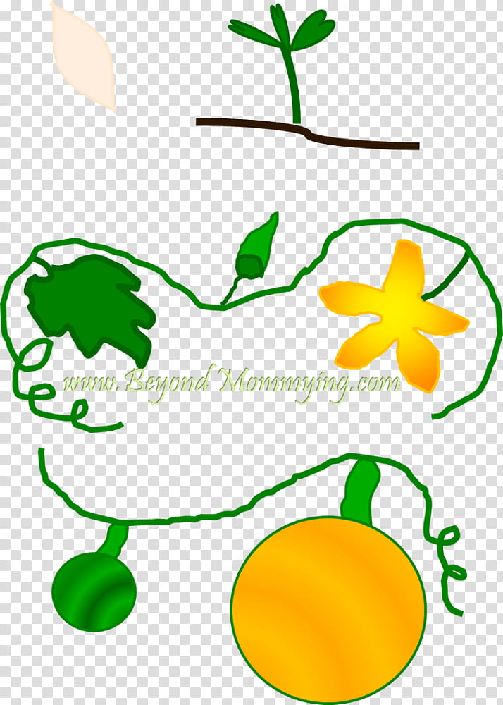 Green Leaf, Pumpkin, Big Pumpkin, Book, School
, Flower, Learning, Plant Stem transparent background PNG clipart