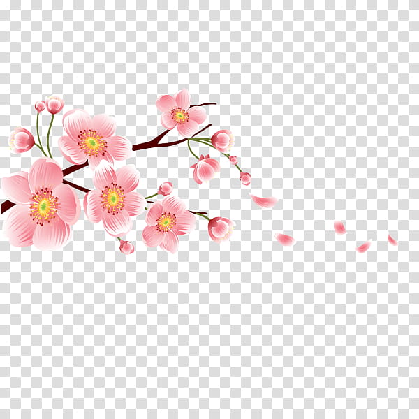 Floral Spring Flowers, Blossom, Cherry Blossom, Peach, Floral Design, 2018, Pink, Petal transparent background PNG clipart