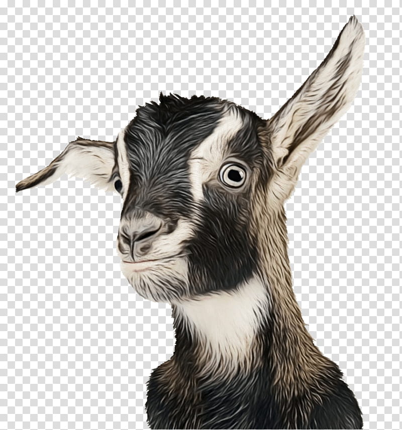 Drawing Of Family, Goat, Vanderbilt Kennedy Center, Autism, Feral Goat, Research, Autistic Spectrum Disorders, Child transparent background PNG clipart