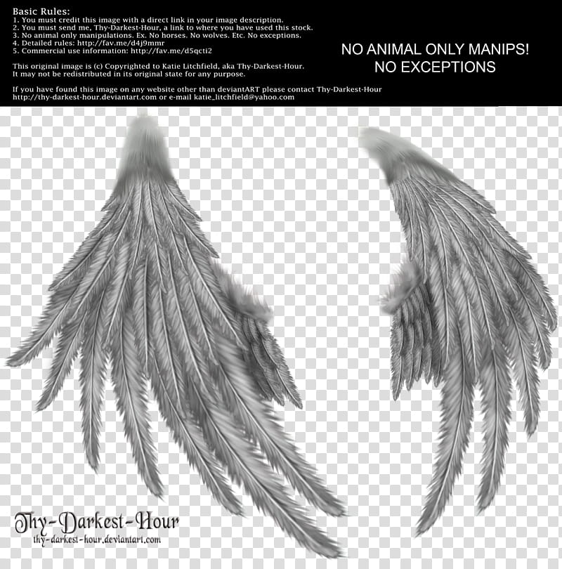 Enchantress Wings Silver, white and gray wings transparent background PNG clipart
