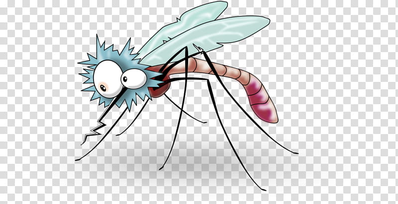 Mosquito Insect, Mosquito Coil, Mosquito Control, Control, Blood, Dengue Fever, Cartoon, Insect Bites And Stings transparent background PNG clipart