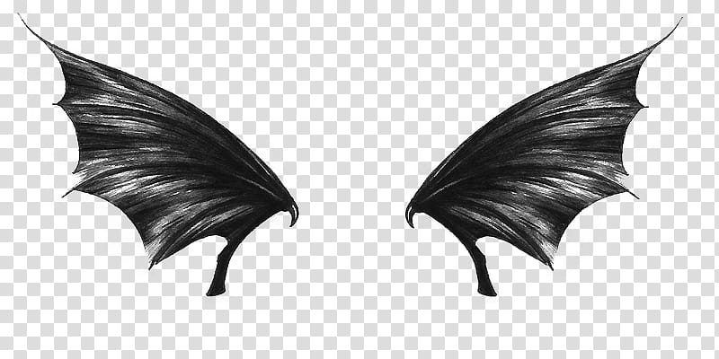 Dark wings, black wings illustration transparent background PNG clipart