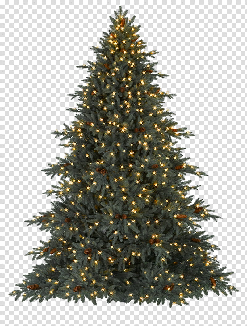 Xmas  Watchers, Christmas tree with string lights transparent background PNG clipart