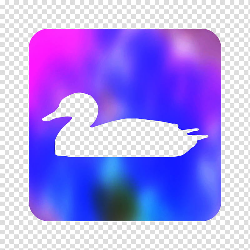 Duck, Bird, Purple, Sky, Water Bird, Swan, Ducks Geese And Swans, Violet transparent background PNG clipart