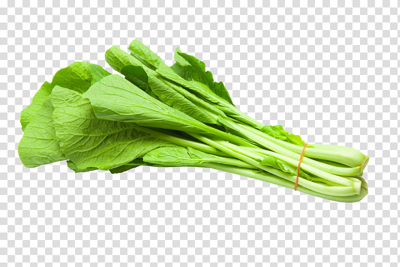 vegetable choy sum food leaf vegetable plant, Komatsuna, Chinese Cabbage, Celtuce transparent background PNG clipart