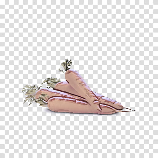 Feather, Footwear, Shoe, Slingback, Beige, Sandal, Fashion Accessory transparent background PNG clipart