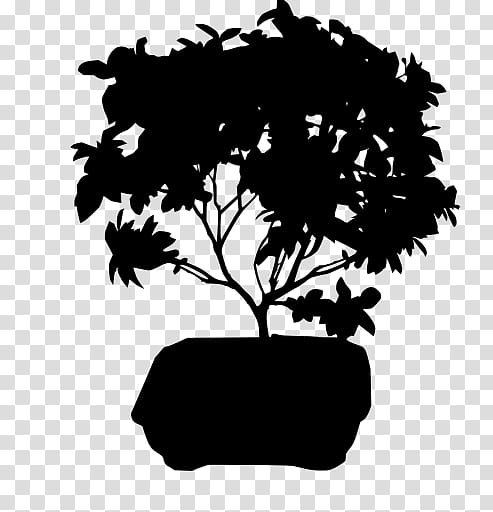 Tree Branch Silhouette, Ficus Retusa, Bonsai, Indoor Bonsai, Houseplant, Weeping Fig, Garden, Ficus Microcarpa transparent background PNG clipart
