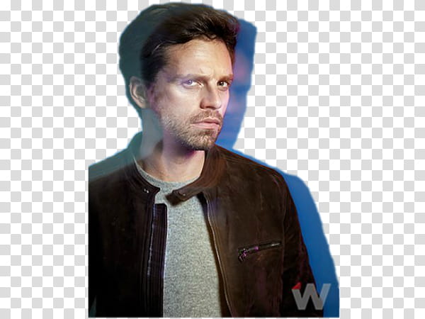 Sebastian Stan XV transparent background PNG clipart