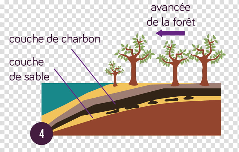 Cartoon Grass, Fossil Fuel, Coal, Energy, Petroleum, Biomass, Organic Matter, Visual Software Systems Ltd transparent background PNG clipart