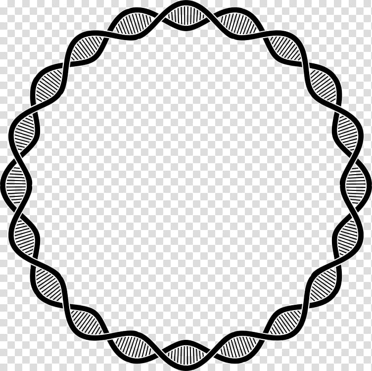 Tshirt Circle, Sticker, Name, Leading Name, Sales, Line Art, Oval transparent background PNG clipart