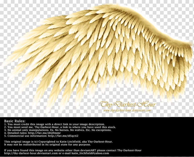 Romantic Wing Golden, brown wing illustration transparent background PNG clipart
