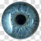 Ojitos creados por MI RAR, blue eye illustration transparent background PNG clipart