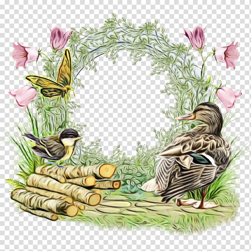 Love Bird, Duck, Swans, Friendship, Goose, Water Bird, Animal, Blog transparent background PNG clipart