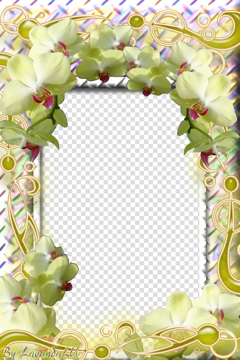 Lav Frames, green frame transparent background PNG clipart