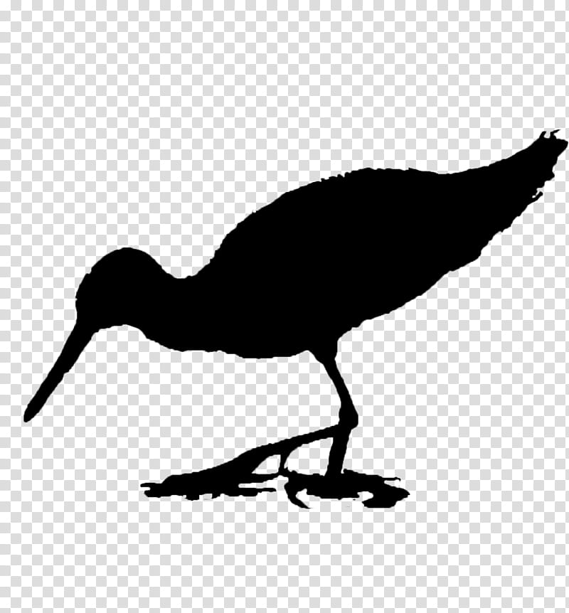 Bird Silhouette, Velociraptor, Dinosaur, Fotolia, Black And White
, Beak, Shorebird, Wildlife transparent background PNG clipart