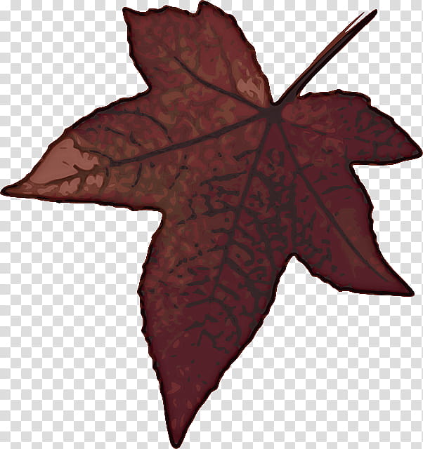 Maple leaf, Tree, Black Maple, Sweet Gum, Plant, Woody Plant, Plane, Deciduous transparent background PNG clipart
