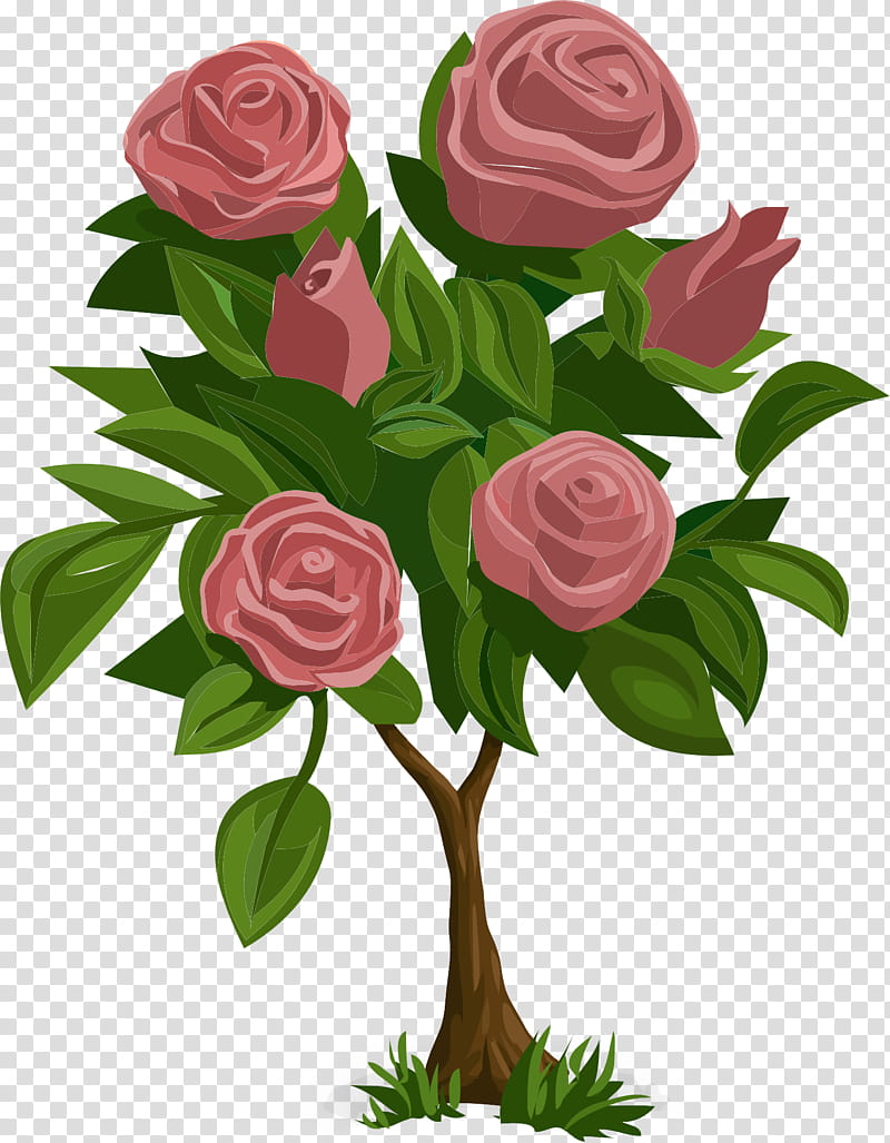 Garden roses, Flower, Pink, Plant, Rose Family, Cut Flowers, Floribunda, Hybrid Tea Rose transparent background PNG clipart