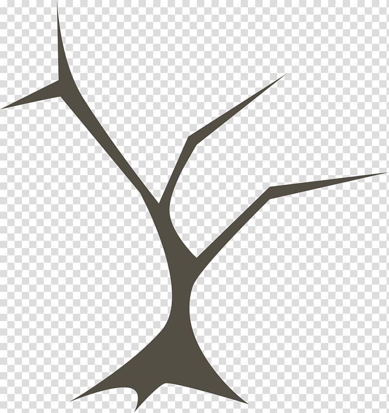 Tree Trunk, Branch, Leaf, Bark, Music , Line, Plant transparent background PNG clipart