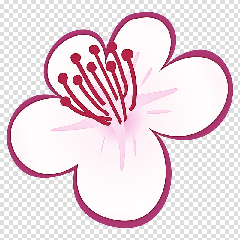 plum blossoms plum winter flower, Pink, Petal, Plant, Magenta, Hibiscus transparent background PNG clipart