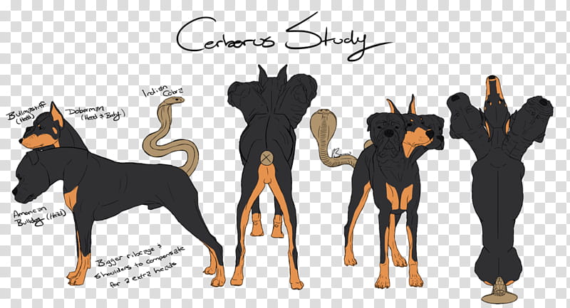 Cerberus Study transparent background PNG clipart