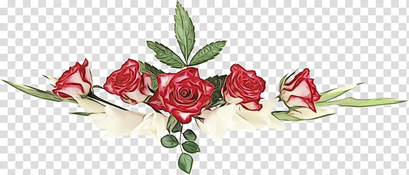 Garden roses, Flower Border, Flower Background, Floral Line, Watercolor, Paint, Wet Ink, Red transparent background PNG clipart