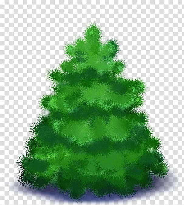 Christmas And New Year, Spruce, New Year Tree, Christmas Day, Christmas Tree, Christmas Ornament, Snowman, Forest Raised A Christmas Tree transparent background PNG clipart