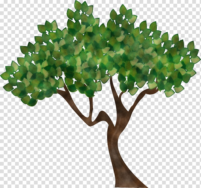 Plane, Tu Bishvat Tree, Tu Bishvat Tree , Abstract Tree, Cartoon Tree, Green, Plant, Leaf transparent background PNG clipart