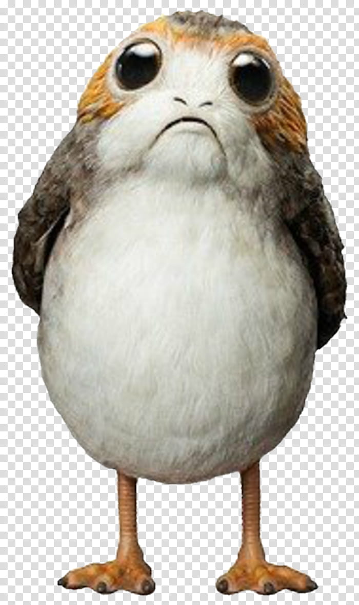 Porg, brown and white bird transparent background PNG clipart