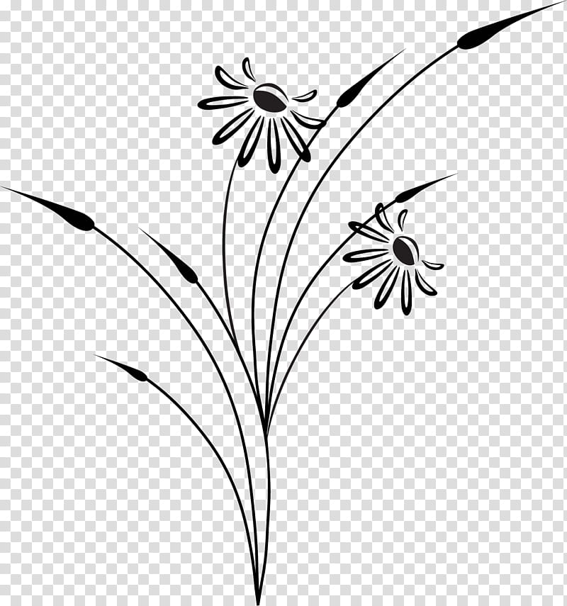Black And White Flower, Leaf, Mobile Phones, Construtora, Petal, Album, Plant Stem, Salah transparent background PNG clipart