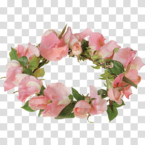 Flower Crowns, pink rose headband illustration transparent background PNG clipart