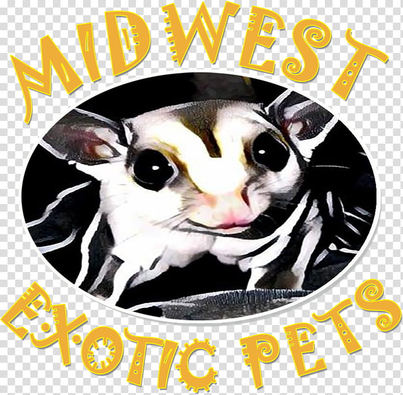 Cartoon Cat, Whiskers, Pet, Exotic Pet, Chameleons, Animal, Snout, Possum transparent background PNG clipart