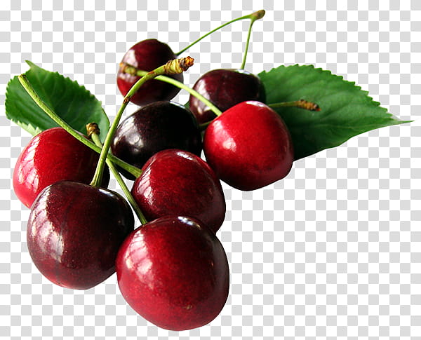 Family Tree, Cherry Pie, Sour Cherry, Plum, Cherries, Fruit, Cherry Cake, Cherry Plum transparent background PNG clipart